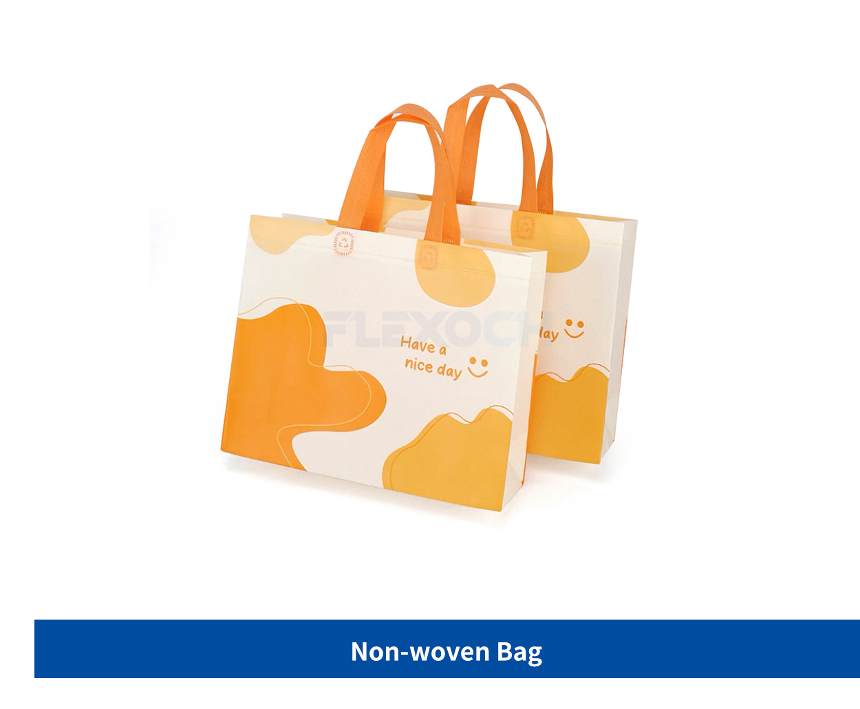 Non woven Bag