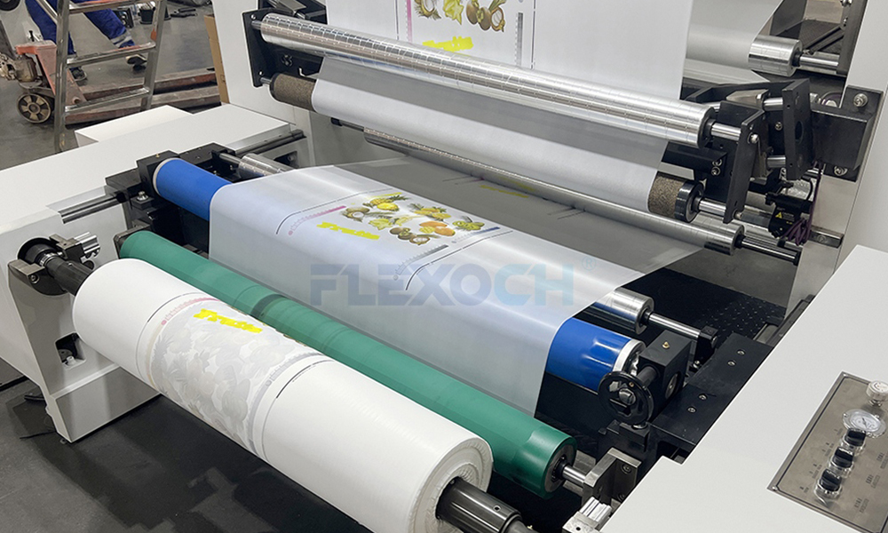 Plastic Flexo Printing Machine