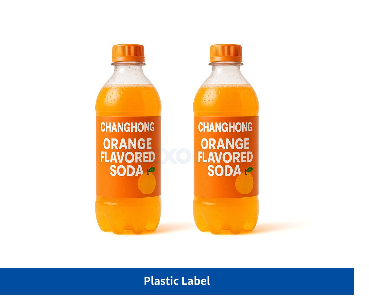 Plastic Label
