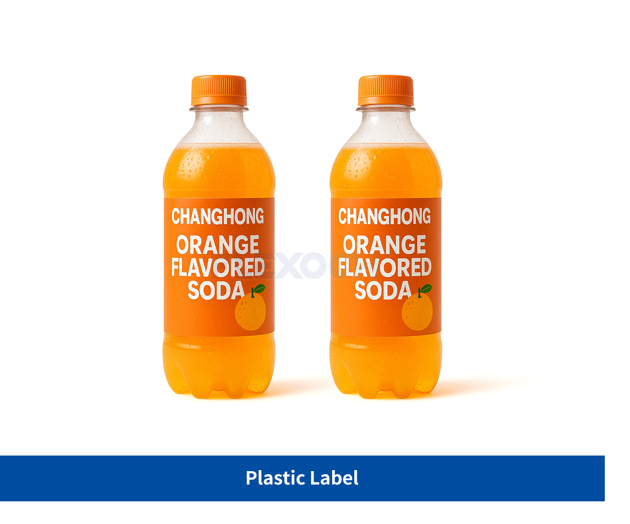 Plastic Label
