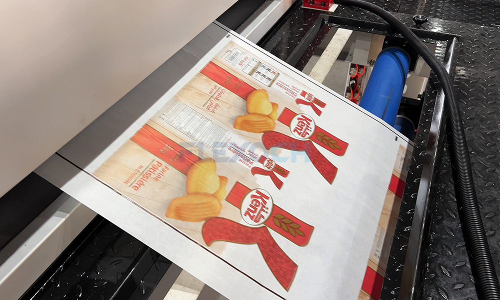 Video Inspection System