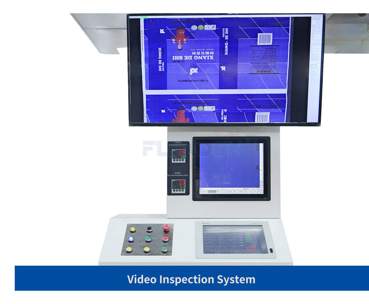 Video Inspection System